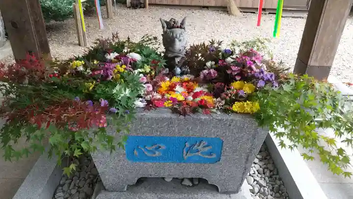 滑川神社 - 仕事と子どもの守り神の手水舎
