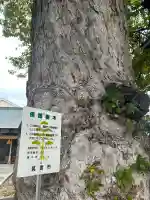 天満宮(大阪府)