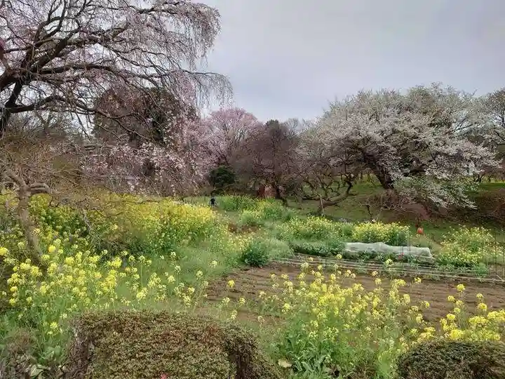高蔵寺(東京都)