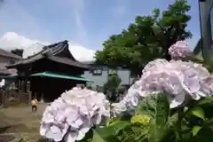 巽神社の建物その他