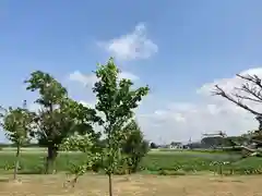 篠津神社の周辺