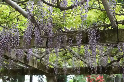 立木神社(滋賀県)