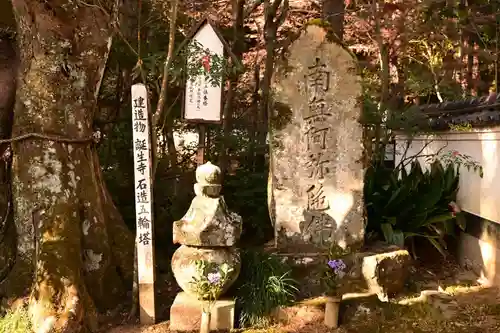 誕生寺(岡山県)