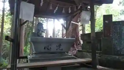 白鬚田原神社の手水舎
