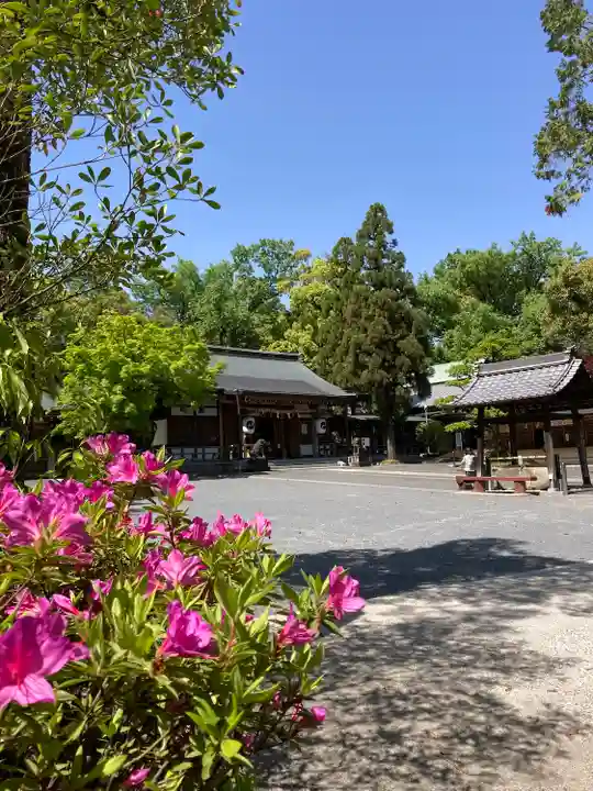 (山田)伊射奈岐神社のその他建物