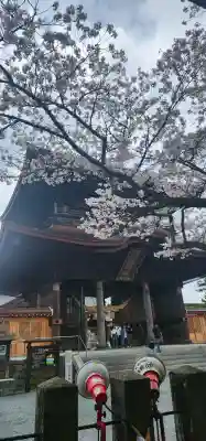 阿蘇神社の{uncategorized: "未分類", other: "その他", undefined: "問題あり", building: "その他建物", grave: "お墓", sacred_gate: "鳥居", guardian: "狛犬", statue: "像", buddha: "仏像", history: "歴史", nature: "自然", garden: "庭園", animal: "動物", pagoda: "塔", temizu: "手水舎", mountain_gate: "山門・神門", sanctuary: "本殿・本堂", subordinate: "末社・摂社", art: "芸術", scenery: "景色", jizo: "地蔵", ema: "絵馬", goshuin: "御朱印", omikuji: "おみくじ", items: "授与品その他", amulet: "お守り", goshuincho: "御朱印帳", eats: "食事", festival: "お祭り", votive_dance: "神楽", shichigosan: "七五三参", wedding: "結婚式", experience: "体験その他", initially: "初詣", around: "周辺", anti_infection: "感染症対策"}