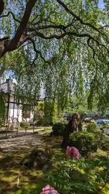 本満寺(本願満足寺)(京都府)