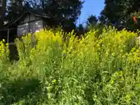 桜実神社の自然