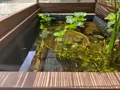 根岸八幡神社(神奈川県)