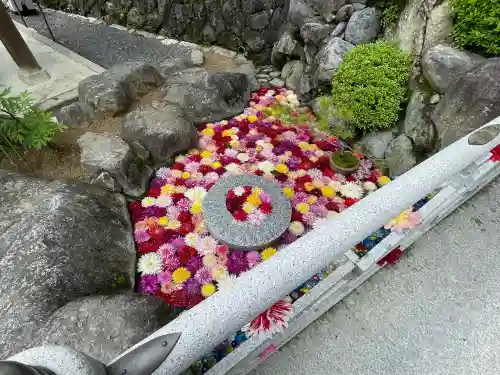 岡寺（龍蓋寺）の{uncategorized: "未分類", other: "その他", undefined: "問題あり", building: "その他建物", grave: "お墓", sacred_gate: "鳥居", guardian: "狛犬", statue: "像", buddha: "仏像", history: "歴史", nature: "自然", garden: "庭園", animal: "動物", pagoda: "塔", temizu: "手水舎", mountain_gate: "山門・神門", sanctuary: "本殿・本堂", subordinate: "末社・摂社", art: "芸術", scenery: "景色", jizo: "地蔵", ema: "絵馬", goshuin: "御朱印", omikuji: "おみくじ", items: "授与品その他", amulet: "お守り", goshuincho: "御朱印帳", eats: "食事", festival: "お祭り", votive_dance: "神楽", shichigosan: "七五三参", wedding: "結婚式", experience: "体験その他", initially: "初詣", around: "周辺", anti_infection: "感染症対策"}