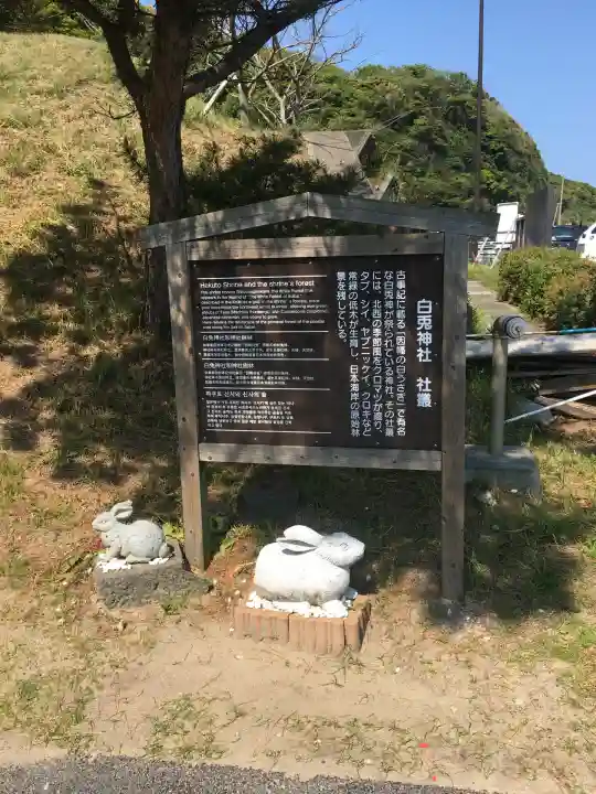 白兎神社(鳥取県)