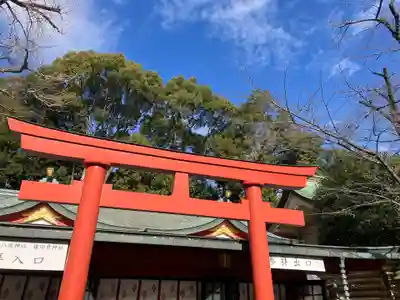 日枝神社(東京都)