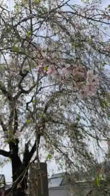 天正寺(滋賀県)