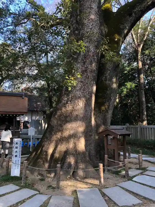 伊弉諾神宮の自然