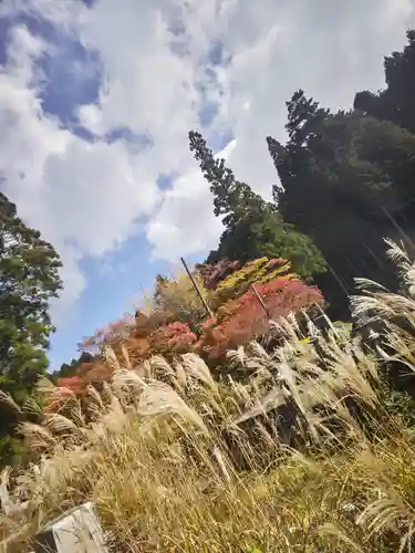 高野山金剛峯寺奥の院(和歌山県)