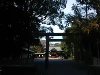 氷上姉子神社(熱田神宮摂社)の鳥居