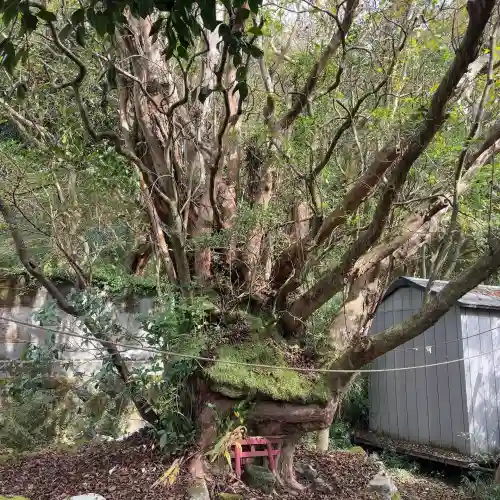 権現坂祠(神奈川県)