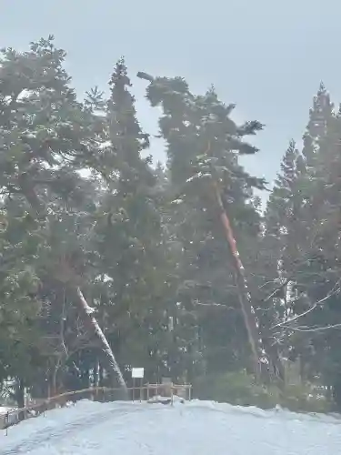 蚊里田八幡宮の{uncategorized: "未分類", other: "その他", undefined: "問題あり", building: "その他建物", grave: "お墓", sacred_gate: "鳥居", guardian: "狛犬", statue: "像", buddha: "仏像", history: "歴史", nature: "自然", garden: "庭園", animal: "動物", pagoda: "塔", temizu: "手水舎", mountain_gate: "山門・神門", sanctuary: "本殿・本堂", subordinate: "末社・摂社", art: "芸術", scenery: "景色", jizo: "地蔵", ema: "絵馬", goshuin: "御朱印", omikuji: "おみくじ", items: "授与品その他", amulet: "お守り", goshuincho: "御朱印帳", eats: "食事", festival: "お祭り", votive_dance: "神楽", shichigosan: "七五三参", wedding: "結婚式", experience: "体験その他", initially: "初詣", around: "周辺", anti_infection: "感染症対策"}