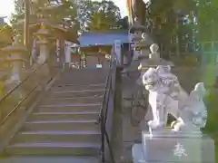 多賀神社の狛犬