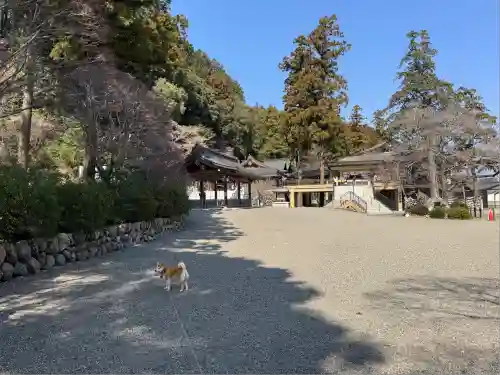 高麗神社(埼玉県)