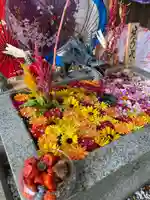 札幌諏訪神社の手水舎