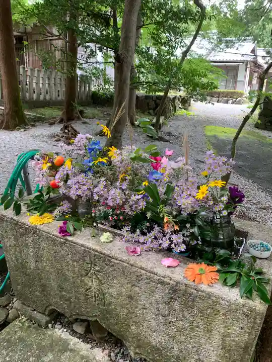 賀毛神社の手水舎