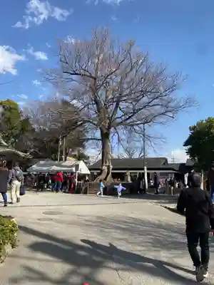 鎮守氷川神社(埼玉県)
