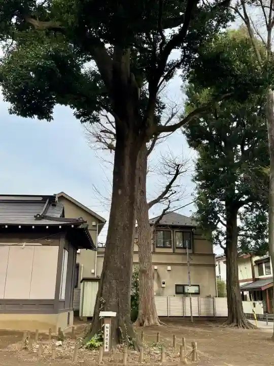 愛宕神社の{uncategorized: "未分類", other: "その他", undefined: "問題あり", building: "その他建物", grave: "お墓", sacred_gate: "鳥居", guardian: "狛犬", statue: "像", buddha: "仏像", history: "歴史", nature: "自然", garden: "庭園", animal: "動物", pagoda: "塔", temizu: "手水舎", mountain_gate: "山門・神門", sanctuary: "本殿・本堂", subordinate: "末社・摂社", art: "芸術", scenery: "景色", jizo: "地蔵", ema: "絵馬", goshuin: "御朱印", omikuji: "おみくじ", items: "授与品その他", amulet: "お守り", goshuincho: "御朱印帳", eats: "食事", festival: "お祭り", votive_dance: "神楽", shichigosan: "七五三参", wedding: "結婚式", experience: "体験その他", initially: "初詣", around: "周辺", anti_infection: "感染症対策"}