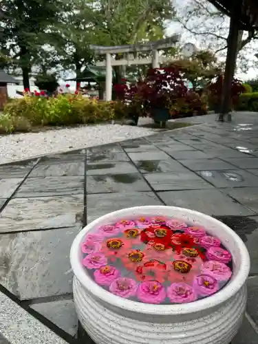 立志神社(滋賀県)