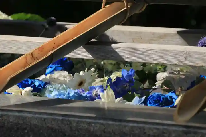 豊景神社の手水舎