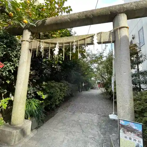 秋葉神社の鳥居