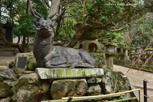春日大社(奈良県)