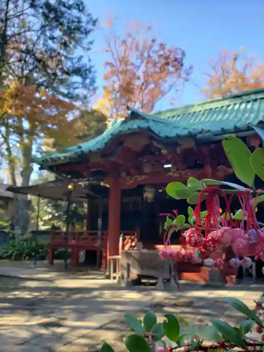赤坂氷川神社(東京都)