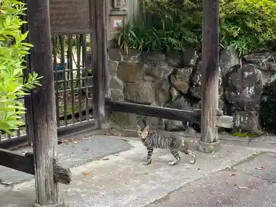 資福寺(宮城県)