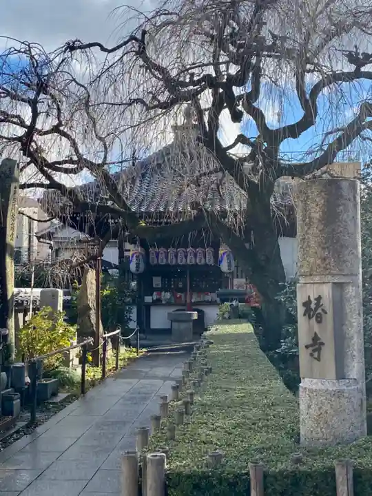 地蔵院(椿寺)の本殿・本堂