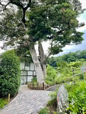 宇賀神社(神奈川県)