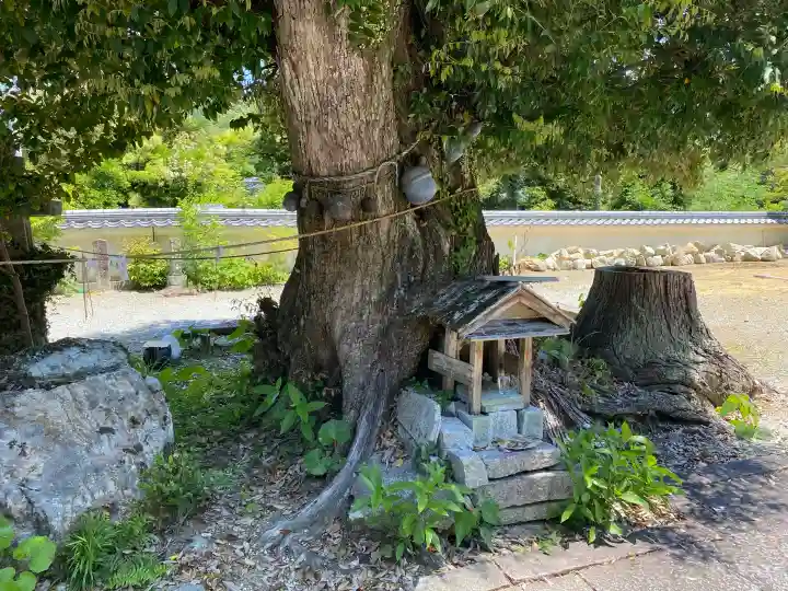 宗安禅寺の{uncategorized: "未分類", other: "その他", undefined: "問題あり", building: "その他建物", grave: "お墓", sacred_gate: "鳥居", guardian: "狛犬", statue: "像", buddha: "仏像", history: "歴史", nature: "自然", garden: "庭園", animal: "動物", pagoda: "塔", temizu: "手水舎", mountain_gate: "山門・神門", sanctuary: "本殿・本堂", subordinate: "末社・摂社", art: "芸術", scenery: "景色", jizo: "地蔵", ema: "絵馬", goshuin: "御朱印", omikuji: "おみくじ", items: "授与品その他", amulet: "お守り", goshuincho: "御朱印帳", eats: "食事", festival: "お祭り", votive_dance: "神楽", shichigosan: "七五三参", wedding: "結婚式", experience: "体験その他", initially: "初詣", around: "周辺", anti_infection: "感染症対策"}
