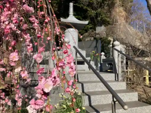 東福寺の{uncategorized: "未分類", other: "その他", undefined: "問題あり", building: "その他建物", grave: "お墓", sacred_gate: "鳥居", guardian: "狛犬", statue: "像", buddha: "仏像", history: "歴史", nature: "自然", garden: "庭園", animal: "動物", pagoda: "塔", temizu: "手水舎", mountain_gate: "山門・神門", sanctuary: "本殿・本堂", subordinate: "末社・摂社", art: "芸術", scenery: "景色", jizo: "地蔵", ema: "絵馬", goshuin: "御朱印", omikuji: "おみくじ", items: "授与品その他", amulet: "お守り", goshuincho: "御朱印帳", eats: "食事", festival: "お祭り", votive_dance: "神楽", shichigosan: "七五三参", wedding: "結婚式", experience: "体験その他", initially: "初詣", around: "周辺", anti_infection: "感染症対策"}