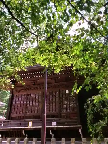 熊野神社の神楽