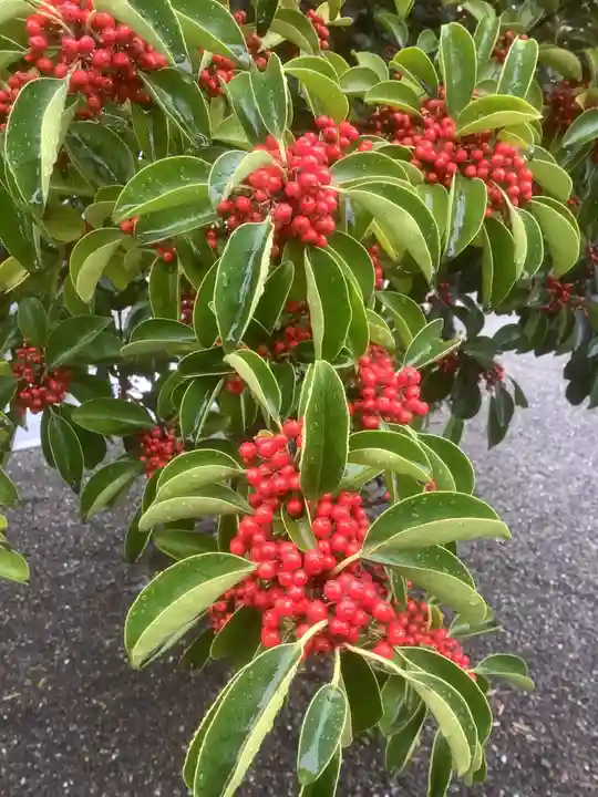 田縣神社(愛知県)