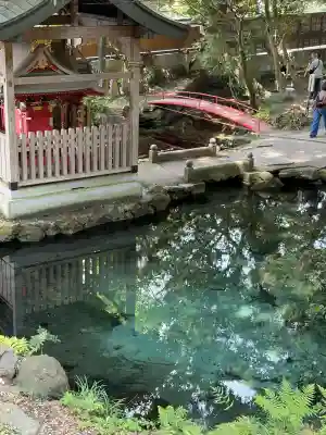泉神社(茨城県)
