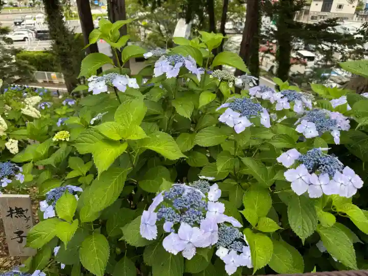 狭山山不動寺(埼玉県)