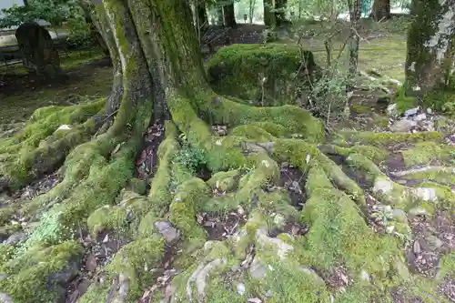 醍醐寺の自然