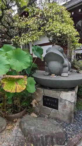 円林寺(東京都)