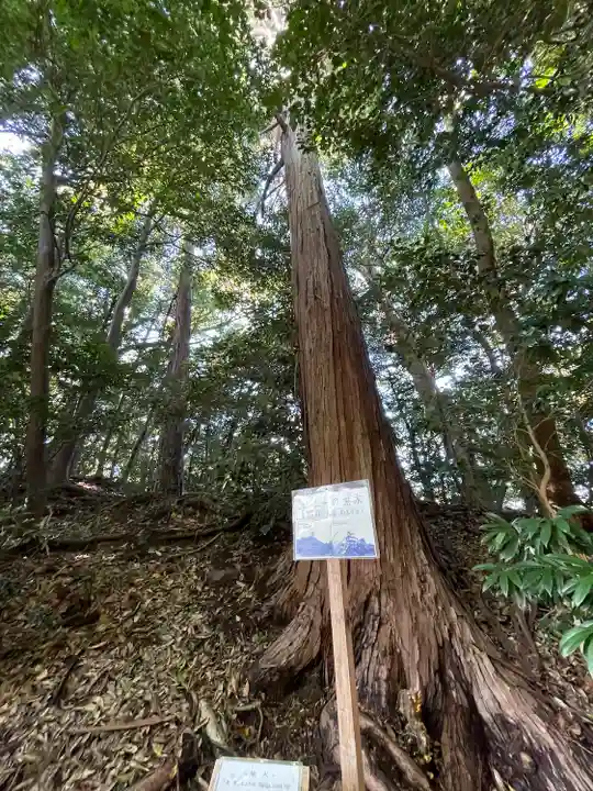 白髭神社(三重県)