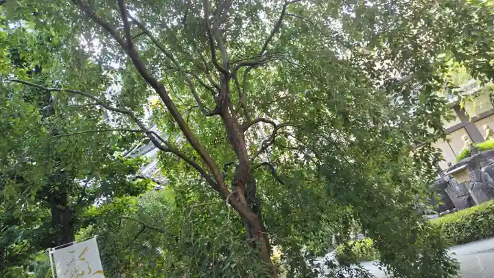 頂法寺(六角堂)(京都府)