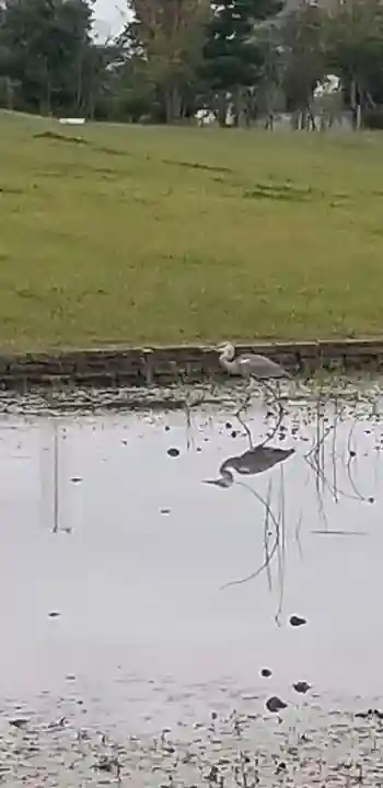 花之木稲荷神社の周辺