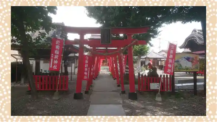 於菊稲荷神社(群馬県)