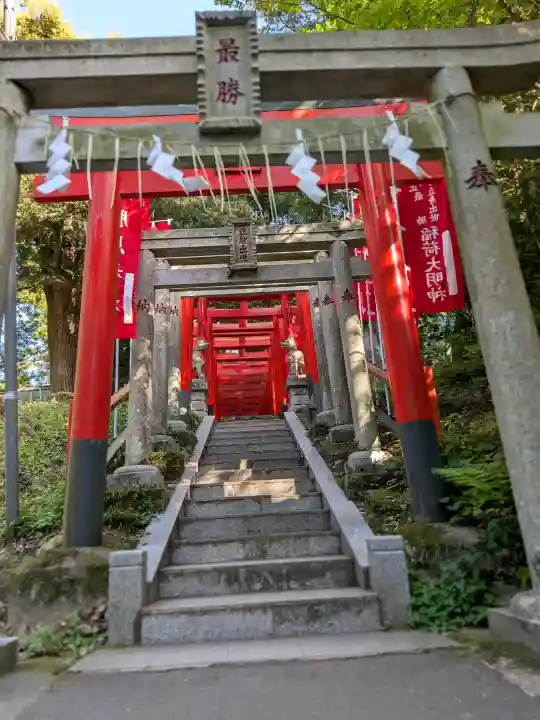 大杉神社(茨城県)