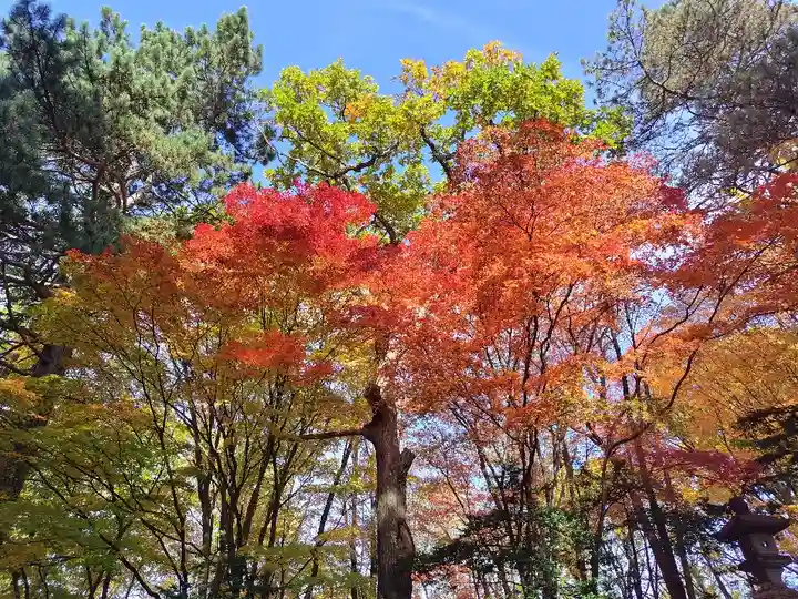 上川神社の自然